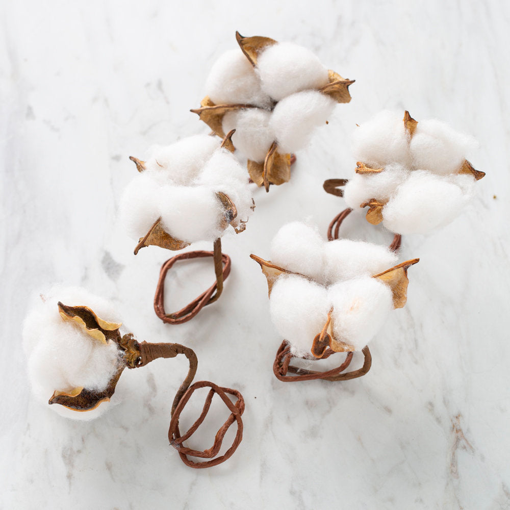 Loren 5'li Telli Pamuk Kozası